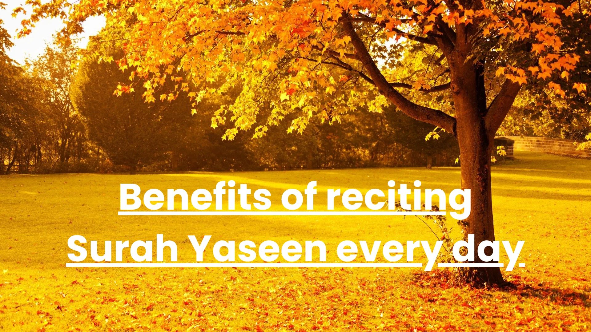 Benefits of reciting Surah Yaseen every day
